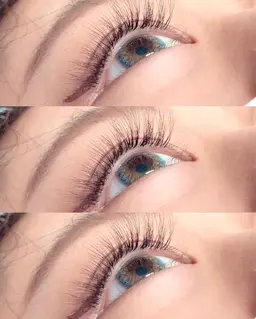 【3Dボリュームラッシュ】✨250本