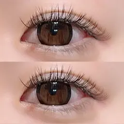 《持続力No.1》バインドロック80束