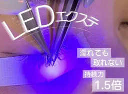 ✨今月限定LEDマツエク付け放題✨🔥破格の¥6,990🔥