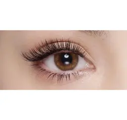 バインドロック  60分 つけ放題  【100束 ～ 120束】  他店オフ無料       ※カラー追加料金無し