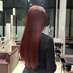 ワンカラーモデル