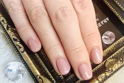 《オフ込み》シンプル＊ワンカラー　¥5,000