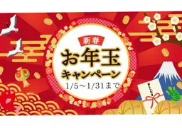 １月限定🎍お一人様一回限り❄韓国式3D毛穴洗浄💆