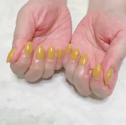 【ずっとオフ無料🎶】2色もOK！ワンカラー