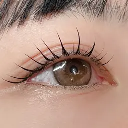 💚10名限定💚【ラッシュリフト】お目元のお写真いただける方¥2200