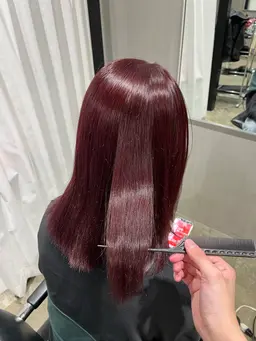 ワンカラー ※ロング料金別