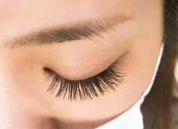 フラットラッシュ100本