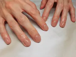 ワンカラー オフなし