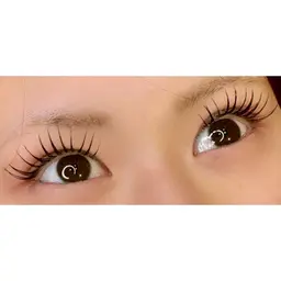 Wフラットラッシュ 50束