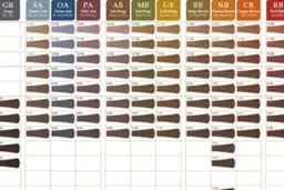 明るい白髪染め🎆頭皮・毛髪に優しいオーガニック🎆美髪◇リタッチ