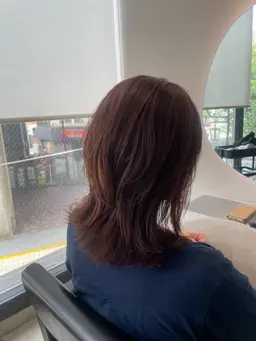 【水、木曜日限定】レディースレイヤーカット×トリートメント🫧