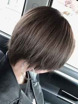 全体ハイライト入れ放題 （ロング料金あり）