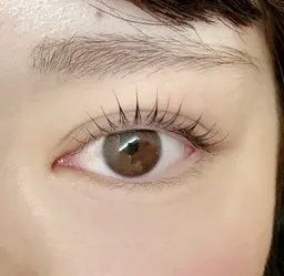 🎄12月限定!まつげパーマorパリジェンヌ🎄