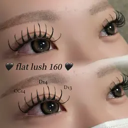 【26限定】🤎flat lush 160本🤎オフあり(90分程度