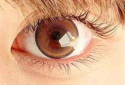 下まつげエクステ（30本保障）