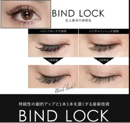 バインドロック80束