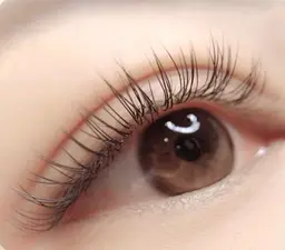 ⭐️フラットラッシュ🌹150本🌼8000円、オフ550円。2回から7500円