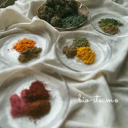 菌活温活”ビオスチーム"40分