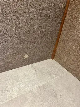 白髪染め艶カラー🪻前処理トリートメント付き🪻｛ショート｝アジュバンシャンプー使用（2種類から選べます）