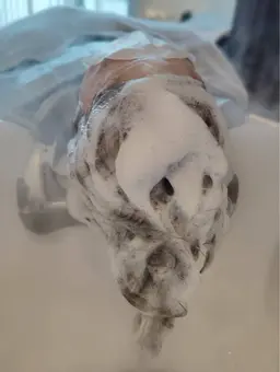 『一日1名様限定』頭浸浴+極上ウエットヘッドスパ