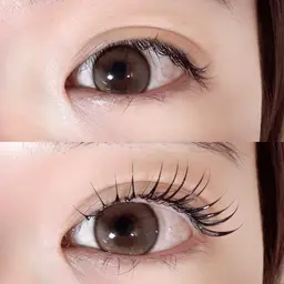 🉐25日限定🖤ラッシュリフト+美容成分入りブラックティント🖤 ※リピーター様+550円