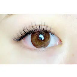 セーブル120本/オフ、コーティング込み