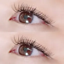 ダブルフラットラッシュ80束(160本)※カラー(➕1000円)