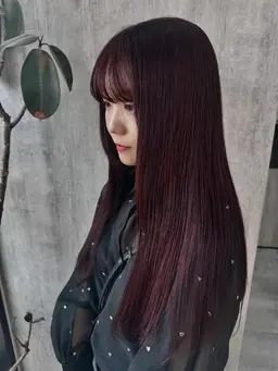 ワンカラー＆トリートメント