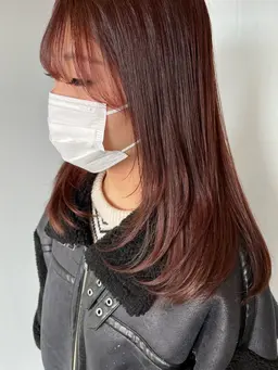 minimo限定価格⭐️カットオーガニックカラー