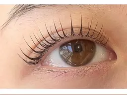 🫧 ２回目 🫧 似合わせまつげパーマ🩵下のみ （まつげ/パーマ）［亀戸］