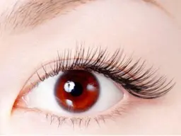 セーブルラッシュ　100本