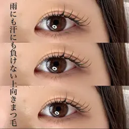 上まつ毛 ラッシュリフト