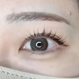 💫当日予約限定💫 似合わせまつ毛パーマ🩰