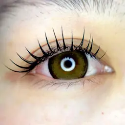 【新メニュー🆕】オフ込みWフラット60束(120本)