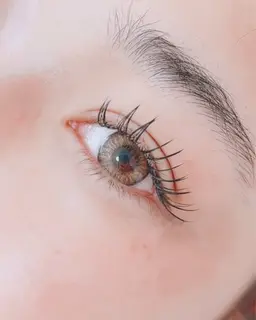 限定付け放題ﾌﾗｯﾄﾗｯｼｭ