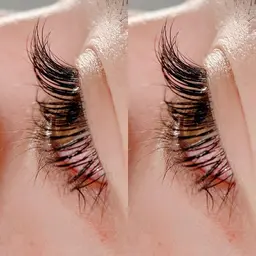 👀minimo限定👀100本までつけ放題🌞アイシャンプー・オフ・コーティング込み🌿🤲🏻