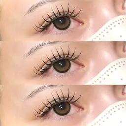 ⌇☑️バインドロック80束🍨🧡(シングル120~の濃さ)⌇仕上げコーティング付✨️束感まつげも🫧
