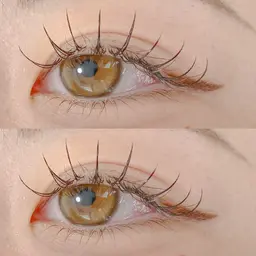 🩵フラットラッシュつけ放題🩵