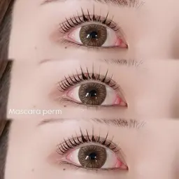 🖤マスカラパーマ《ブラックティント×上まつ毛パーマ》¥7,150→¥5,550【minimo限定🪽】