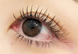 【ご新規様】🌿ラッシュリフト上下セット&ヒト幹細胞培養液コート🌿¥8500→¥7700