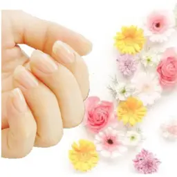 新規オフなし【クリアジェル透明仕上げ】カラーなし・アートなし