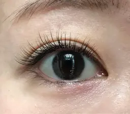 【ご新規様】フラットラッシュ 100本