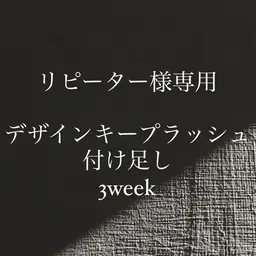 デザインキープラッシュ【3week以内付け足し】