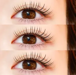 最高級プラチナセーブル☆シングルラッシュ《上》100本