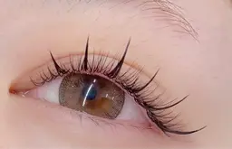 中華風ワンホン120本 / オフなし