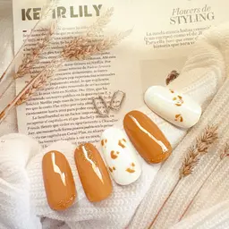 定額デザイン・オフィス