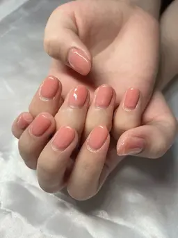 【オフあり】ワンカラー