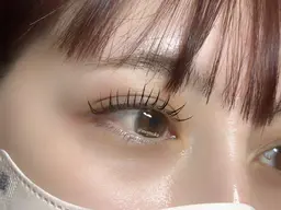 期間限定【オフなし】フラットラッシュ120本 時間短縮技術向上モニター