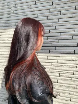 普段のヘアスタイルに変化を付けたい方へ‼️💜カット＋ブリーチありのインナーカラー＋全体カラー🩷