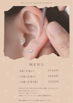 👂💎耳ツボジュエリー6粒(片耳3)